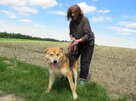 Taylor do adopcji - 3
