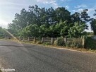 Sprzedam działkę rolną - 48 500 m2 - 3