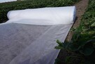 Agrowłóknina Fiberina Biała 23g UV Polska Włóknina okryciowa - 6