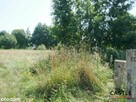 Leśny Zakątek I blisko plaży I mieszkaj i zarabiaj I od zaraz - 3