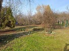 Duża działka ROD Płaszów 500m2!!! - 5