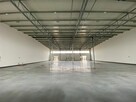 Elewatorska * hale o pow. 250m2 - 3