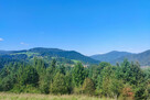 Na sprzedaż działka rolna – Krościenko nad Dunajcem - 11