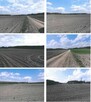 Gospodarstwo, grunty Perkozy, Łążek, Niedziałki Sadykierz, N - 8