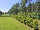 Dom piętrowy o powierzchni 84m2, działka 792m2, Józefina - 3