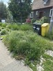Pielęgnacja ogrodów - 2