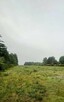 Zalesiona działka 1499 m² w lesie, blisko Zalewu. - 1
