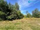 Działka #Kampinoski Park Narodowy #1368 m2 - 2