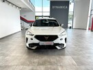 Cupra Formentor 1.5TSI 150KM DSG 2023 r., salon PL, I właściciel, gwarancja, f-a VAT - 3