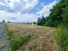 Działka budowlana Siedliska Sławęcińskie gm. Skołyszyn - 6