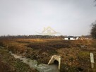 Działka budowlana Grodzisk Mazowiecki - 1