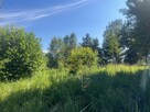 Działka usługowa Radziejowice - 2