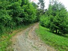Działka budowlana Krościenko Nad Dunajcem - 12