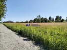 Działka budowlana Krasne Kolonia-Krasne - 1