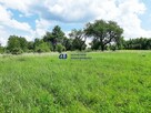 Działka Hermanowa gm. Tyczyn Pańskie Pola-Gradkowiec - 1