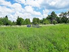 Działka Hermanowa gm. Tyczyn Pańskie Pola-Gradkowiec - 3