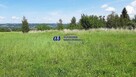Działka Hermanowa gm. Tyczyn Pańskie Pola-Gradkowiec - 6