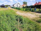 Głuchowo gm. Czempiń działka z warunkami zabudowy - 6