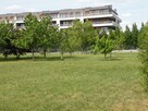 Sprzedam, zamienię działkę wraz z domem i garażem - 6