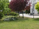 Sprzedam, zamienię działkę wraz z domem i garażem - 13