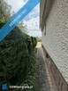 Sprzedam siedlisko - 12