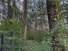 Działka budowlana Sokolniki-Las gm. Ozorków, - 1
