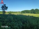 Działka rolna Rożyńsk Wielki gm. Prostki Rożyńsk Wielki - 3