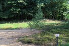 Działka budowlana Niewodnica Kościelna gm. Turośń Kościelna, - 5