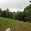 Sobolów, Wola Nieszkowska, działka 0,35ha - 3