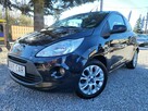Ford KA 1.2 70 KM 100% Przebieg 137 Tyś km  Z Niemiec Opłaty Zapraszamy !!! - 3