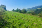 Na sprzedaż działka rolna – Krościenko nad Dunajcem - 8