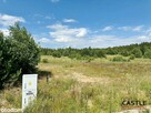 Gowidlino I zieleń i przyroda I blisko stadnina - 13