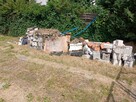 Praca przy wywozie gruzu 200 zł na godzinę - 2