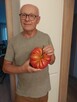 Pani uczciwej do wszystkiego życiowego - 8