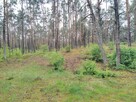 Piękna duża działka inwestycyjna 30km od granic Warszawy - 3