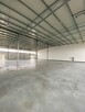 Elewatorska * hale o pow. 250m2 - 2