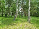 Sprzedam działkę idealną pod siedlisko bez sąsiadów - 2ha + - 5