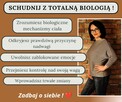 Odnowa psychobiologiczna/ Terapie manualne/ konsultacje - 4