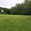 Sobolów, Wola Nieszk.działka bud. rolna 13a,las, - 2