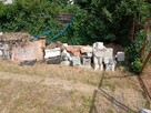 Praca przy wywozie gruzu 200 zł na godzinę - 1