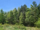 Nieruchomość gruntowa zabudowana od syndyka - Gosań - 3