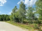 Gowidlino I zieleń i przyroda I blisko stadnina - 12