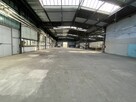 Do wynajęcia hala magazynowa 1.900m² - 6