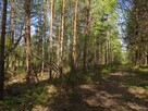 Nieruchomość gruntowa zabudowana od syndyka - Gosań - 6