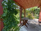 Urokliwa działka ROD Kopernik - 5