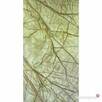 Fornir Transparentny Rainforest Green tapeta 244x122x0,2cm - 2