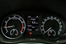 Škoda Fabia 1,0 95KM*Ambition*Kamera*Tempomat*Krajowa - 16