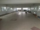 Inwestycyjna okazja! 1,16 ha z halą i placem - 6