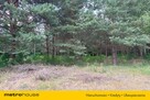 Działka w otulinie lasu - 5
