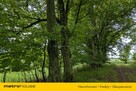Zabytkowy Park Pałacowy/Dworski z XIX w. - 7.27ha - 2